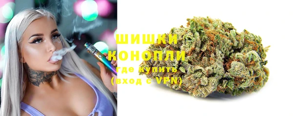 соль ск Бородино