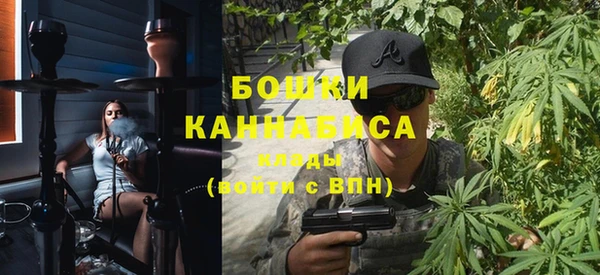 соль ск Бородино