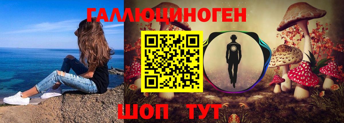 Псилоцибиновые грибы Psilocybe Воркута