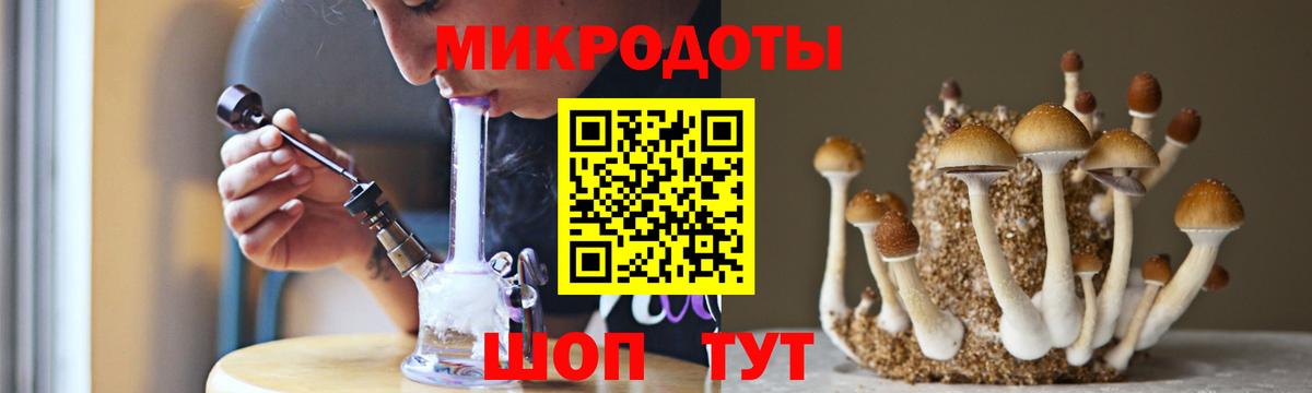 Галлюциногенные грибы Psilocybe Воркута